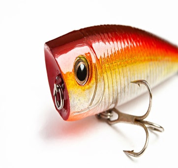 Buy Hellbender Lures Online In India -  India